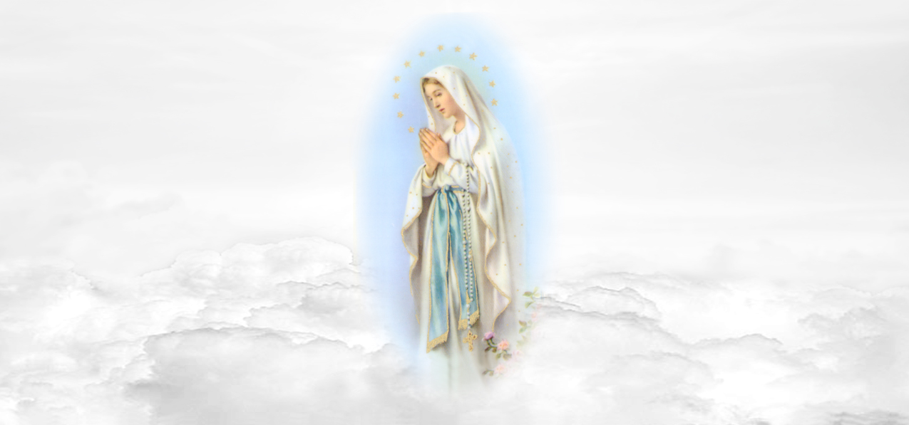 Lady of the Flowering Thorn White